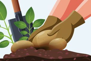 Review Jan 26 - cc5.jpg