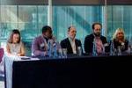 IP Inclusive panel 10 years.jpg