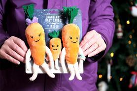 Kevin the Carrot trade mark