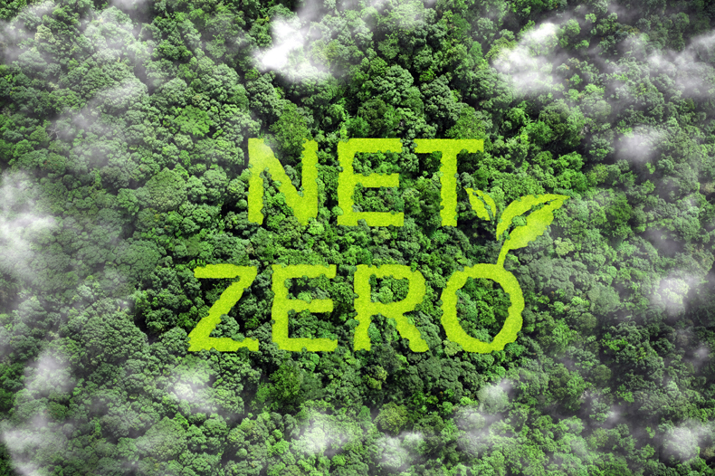 Net zero writing on trees 790x526.jpg