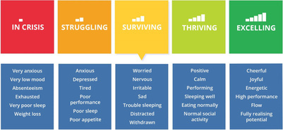 Mental health continuum