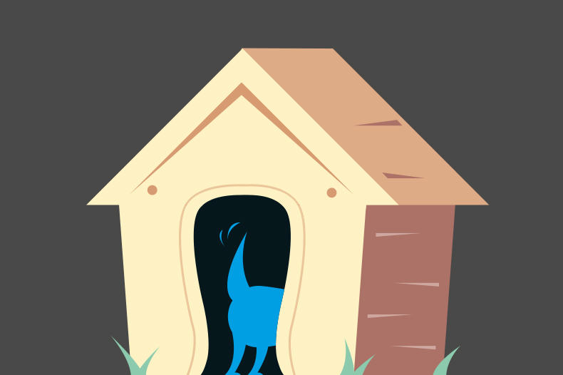 dog house