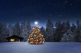 Christmas tree in winter village