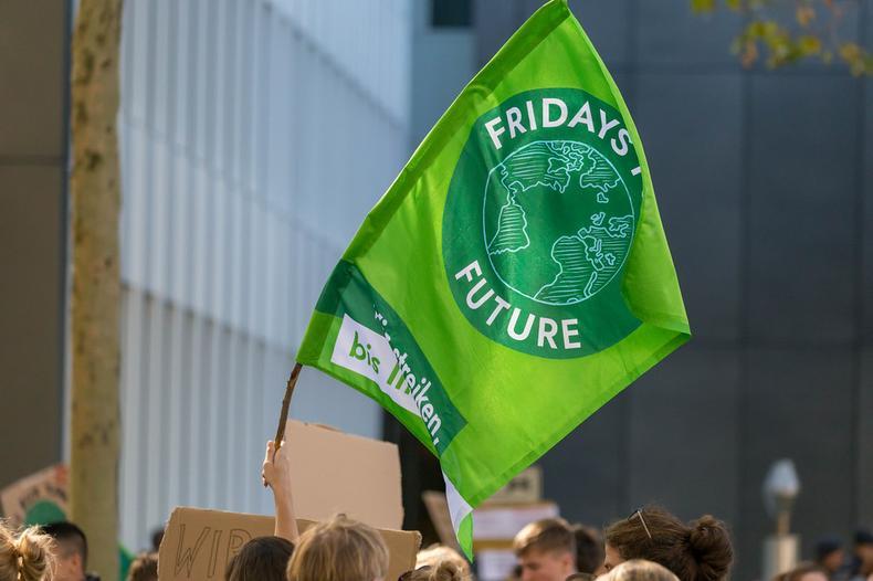 fridays for future flag