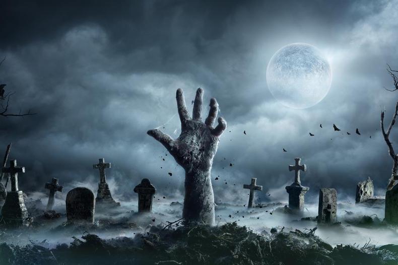 Zombie blog - stock pic.jpg