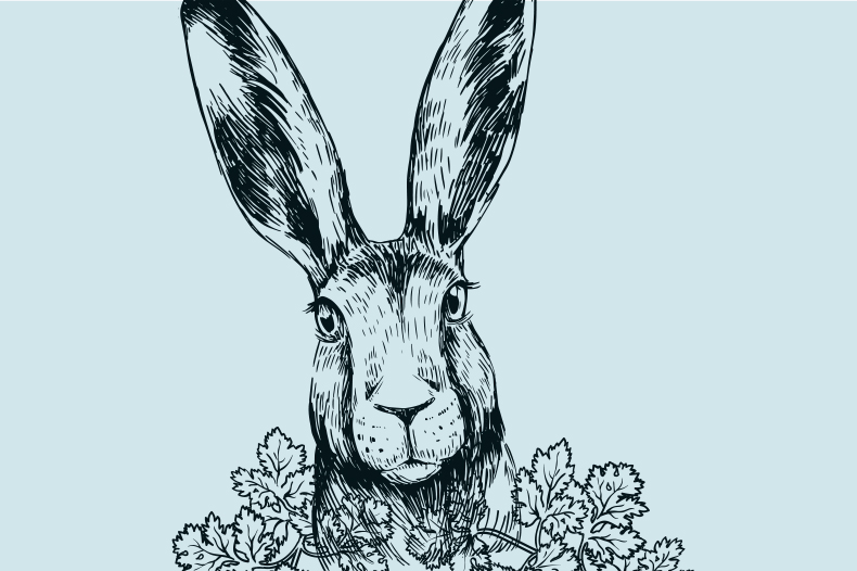 cc1-hare-gin.jpg