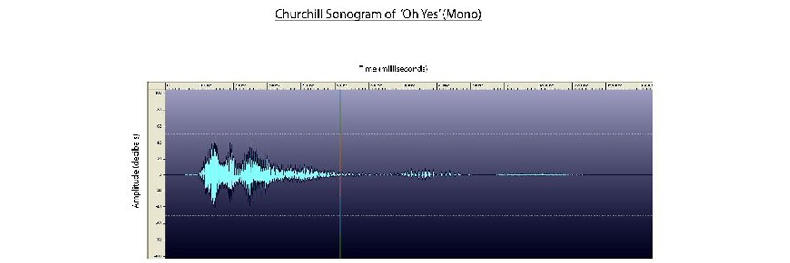 Churchill sonogram