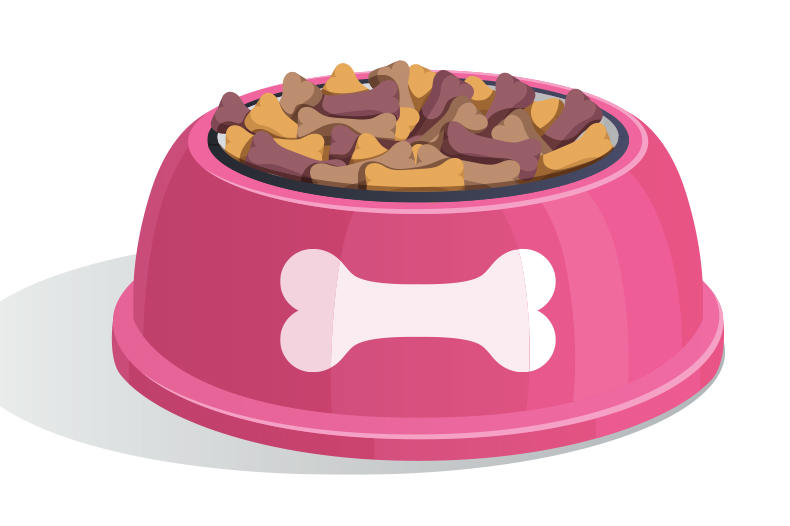 dog bowl