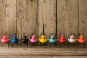 Diversity ducks